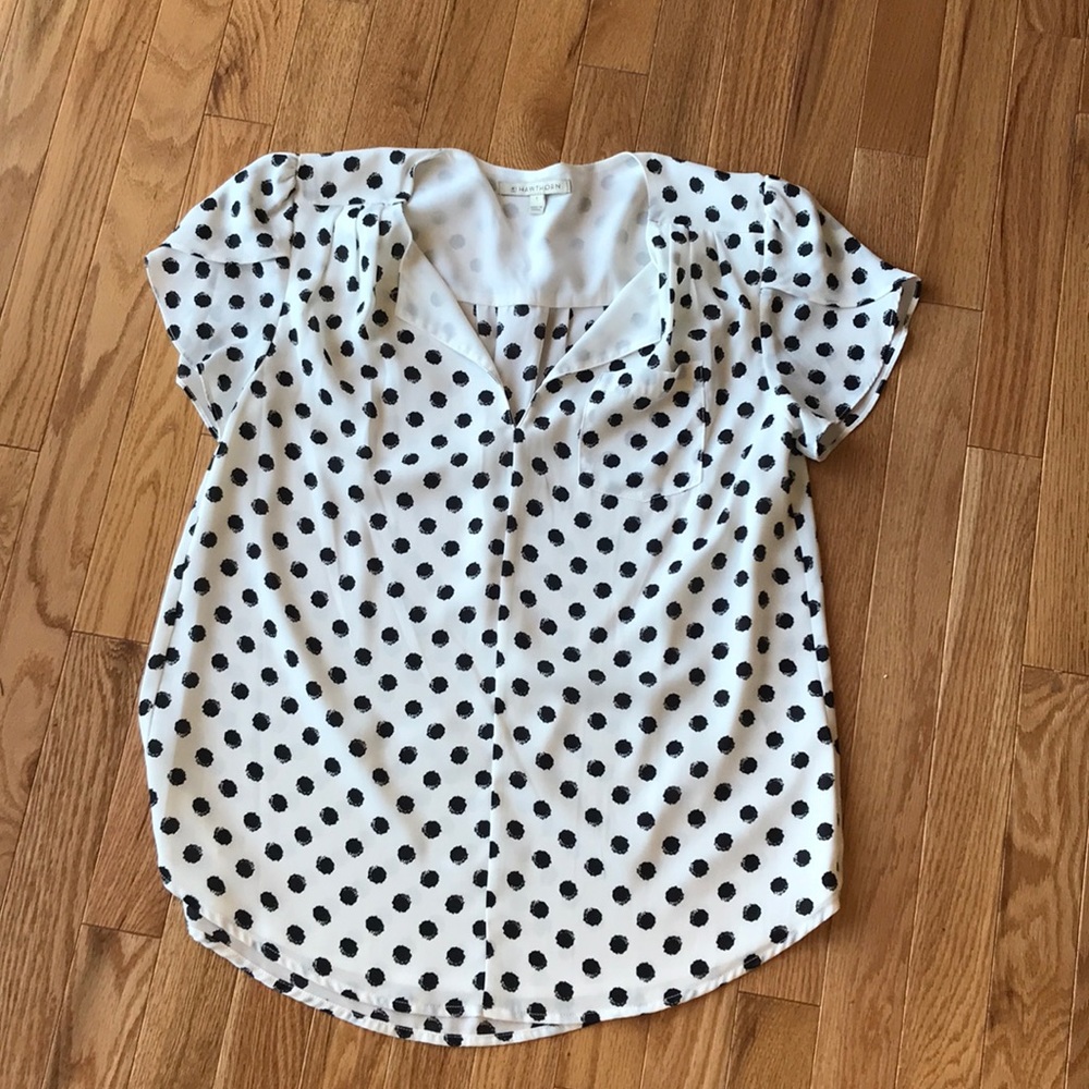 41 Hawthorn Carol tulip sleeve blouse stitch fix